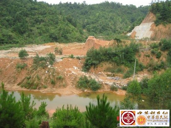 合办林场被滥采稀土