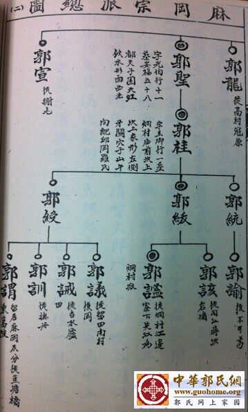 IMG_1019 (478x640).jpg