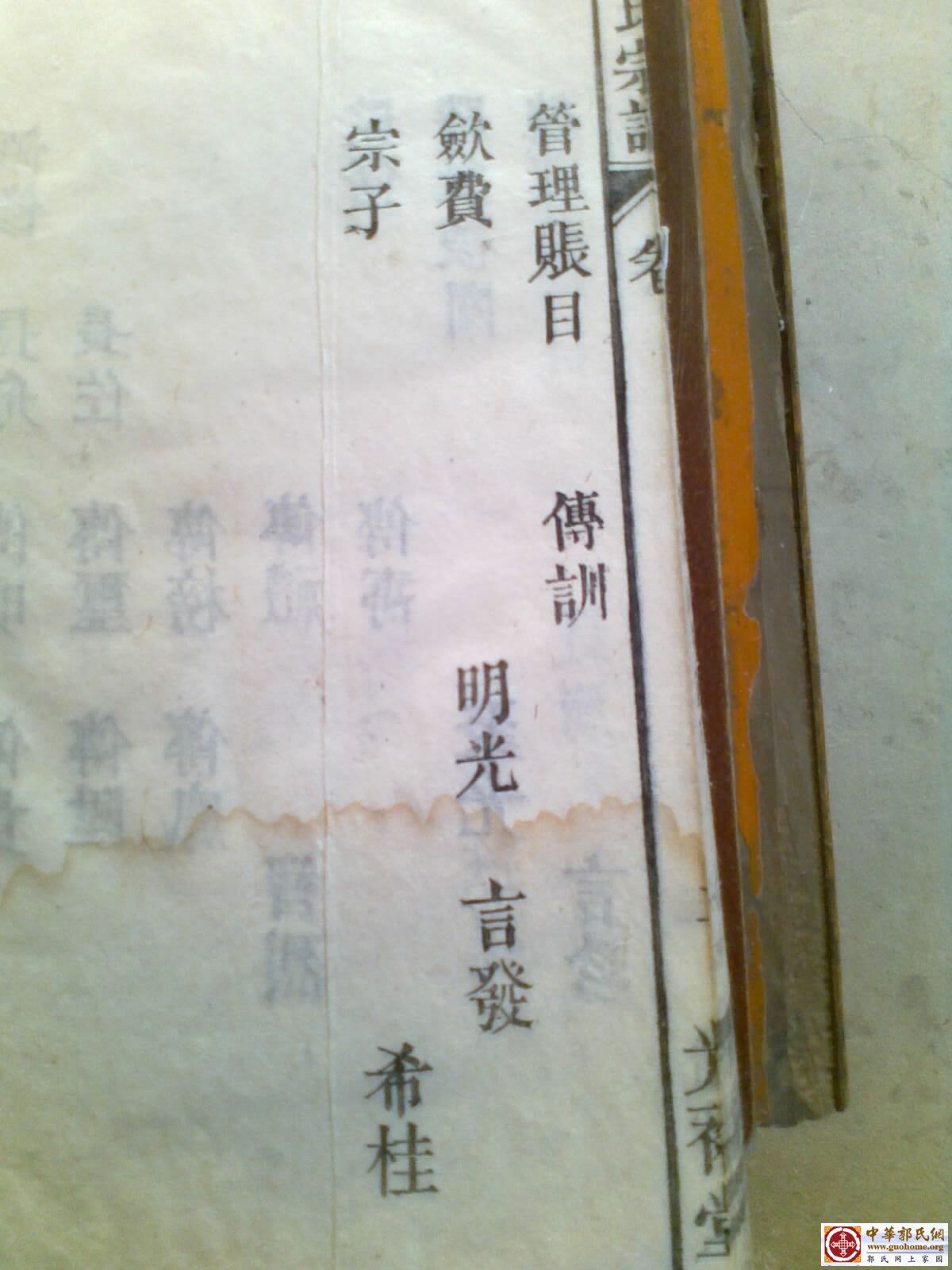 20130118435.jpg