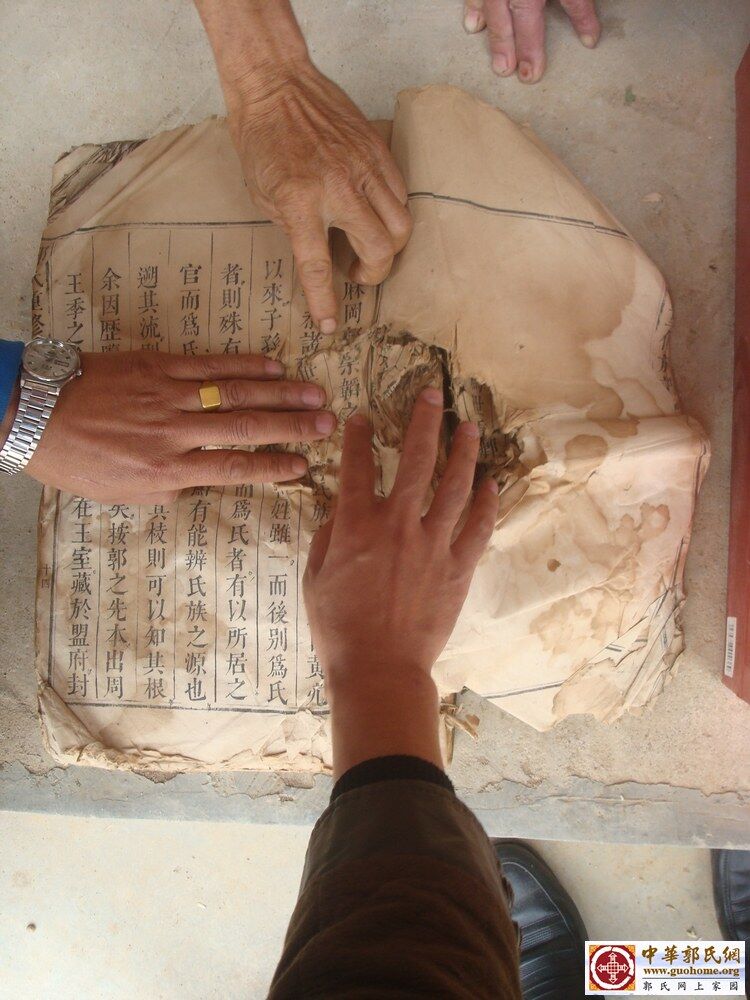 nEO_IMG_麻岗二修谱 (1).jpg