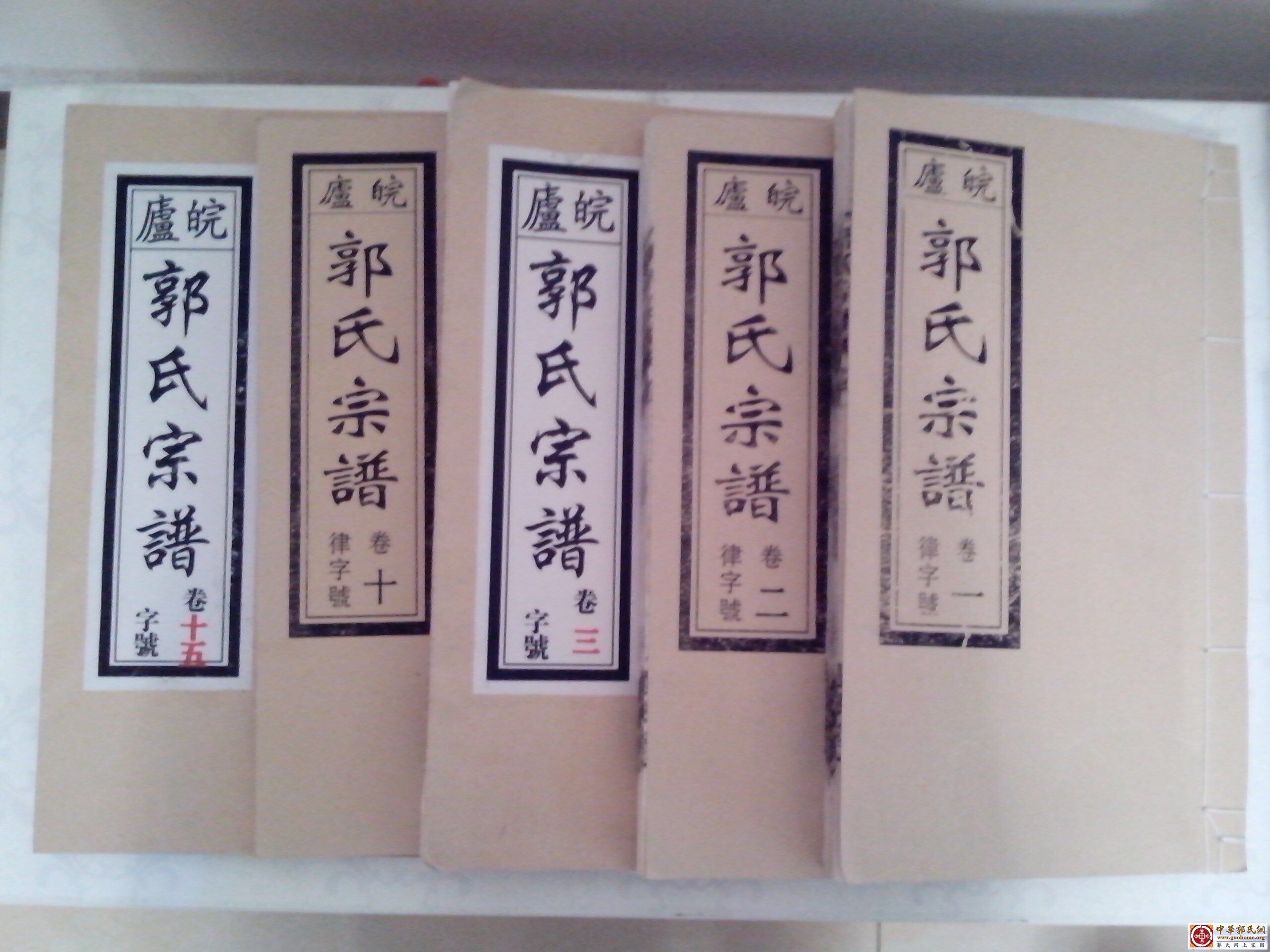 皖庐 遗风堂 宗谱.jpg