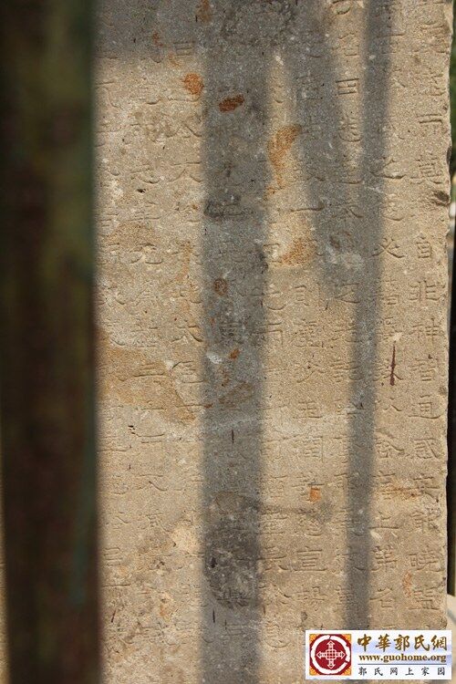 221836bjxx2kf26x11c5vx (1).jpg