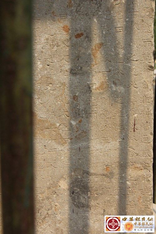 221836bjxx2kf26x11c5vx (1).jpg