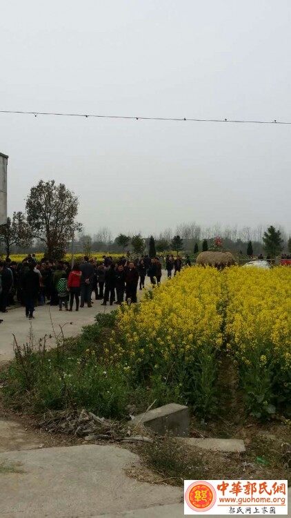 中华郭氏网_20160326_145237 (1).jpg