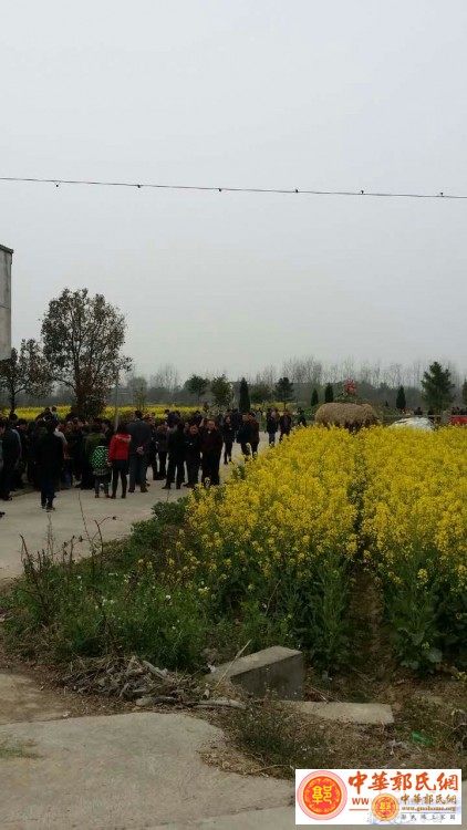 中华郭氏网_20160326_145237 (1).jpg