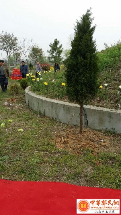 中华郭氏网_20160326_145237 (3).jpg