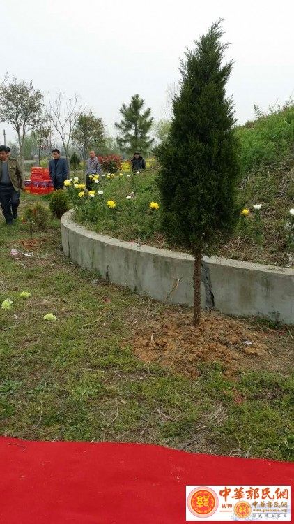 中华郭氏网_20160326_145237 (3).jpg