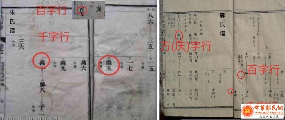 郭氏朱氏谱比较.jpg