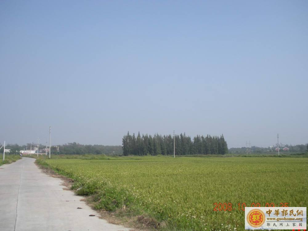 吴川始祖宗贤公五百年前开基地凤凰岭之图片