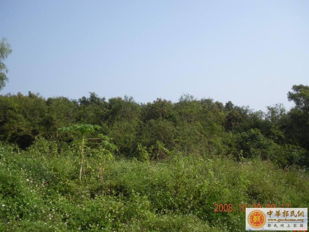 吴川始祖宗贤公五百年前开基地凤凰岭之图片