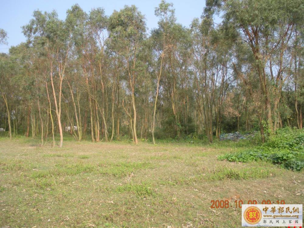 吴川始祖宗贤公五百年前开基地凤凰岭之图片