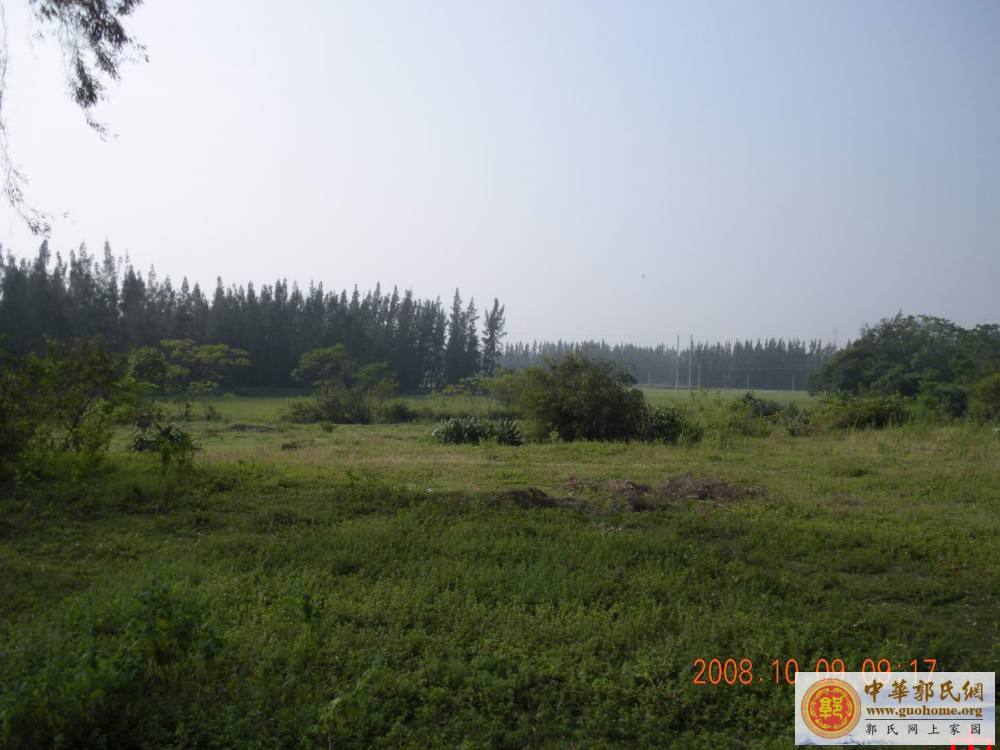 吴川始祖宗贤公五百年前开基地凤凰岭之图片