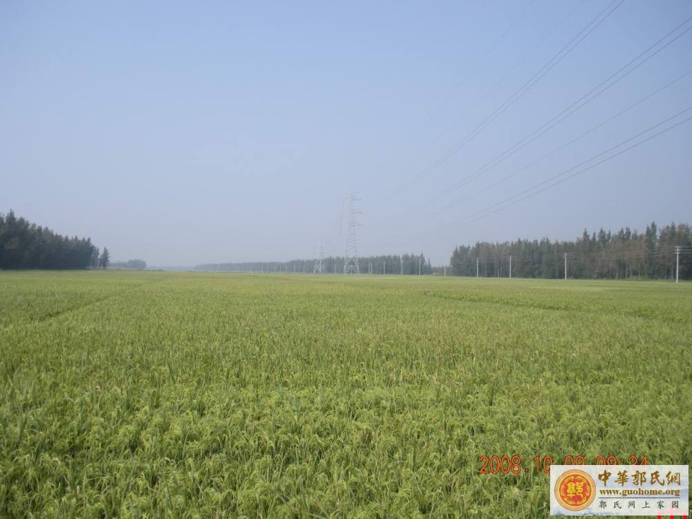 吴川始祖宗贤公五百年前开基地凤凰岭之图片