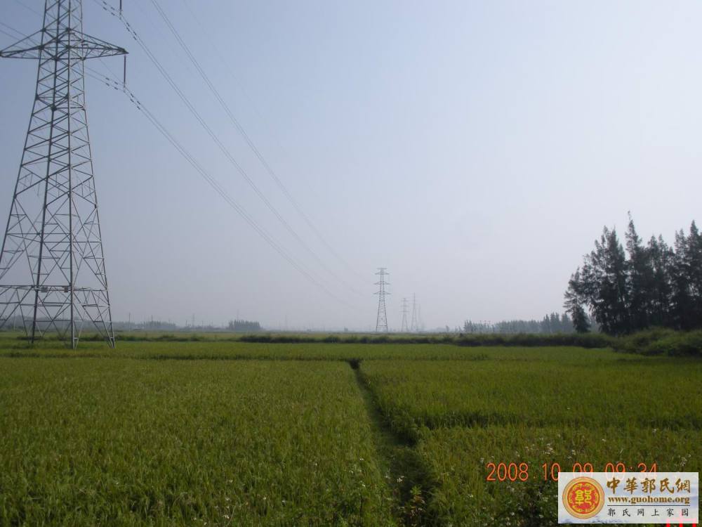 吴川始祖宗贤公五百年前开基地凤凰岭之图片