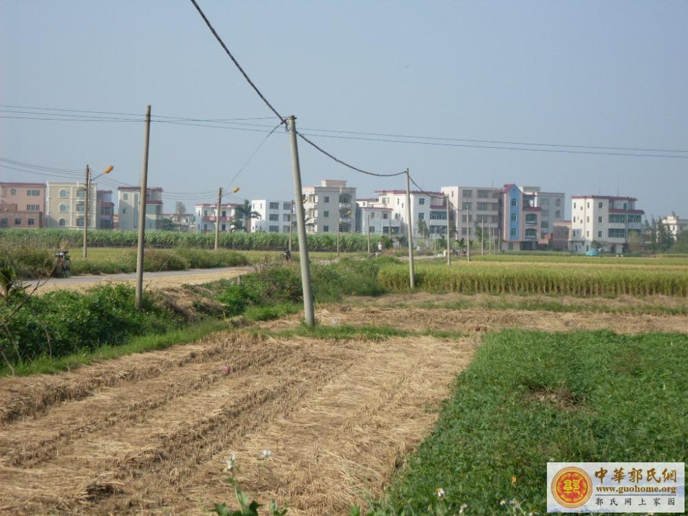 [原创]吴川滕蛟郭屋