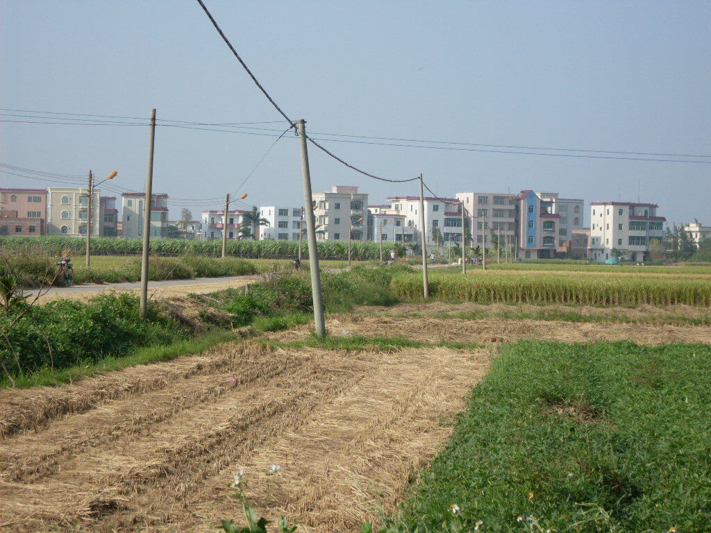 [原创]吴川滕蛟郭屋