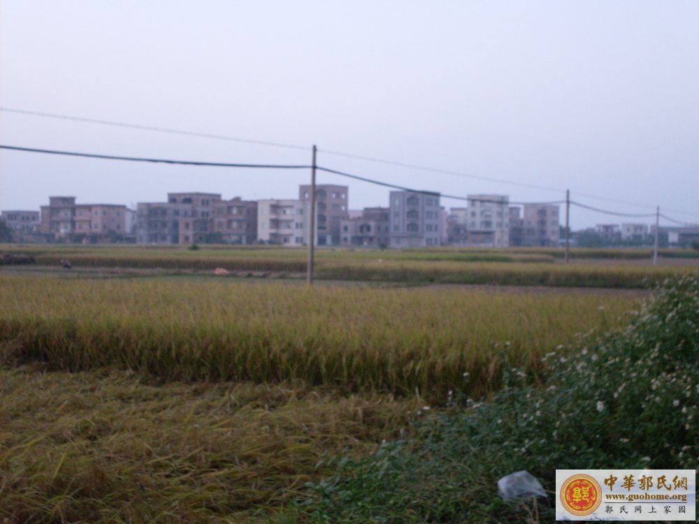 [原创]吴川滕蛟郭屋