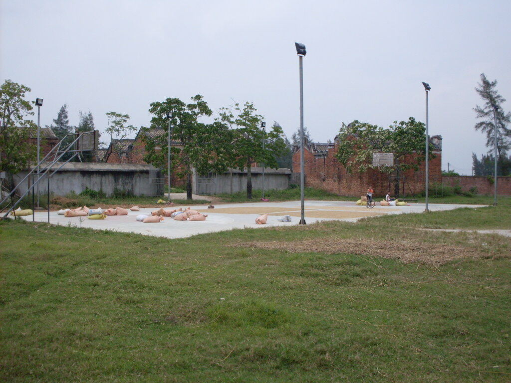 [原创]吴川滕蛟郭屋