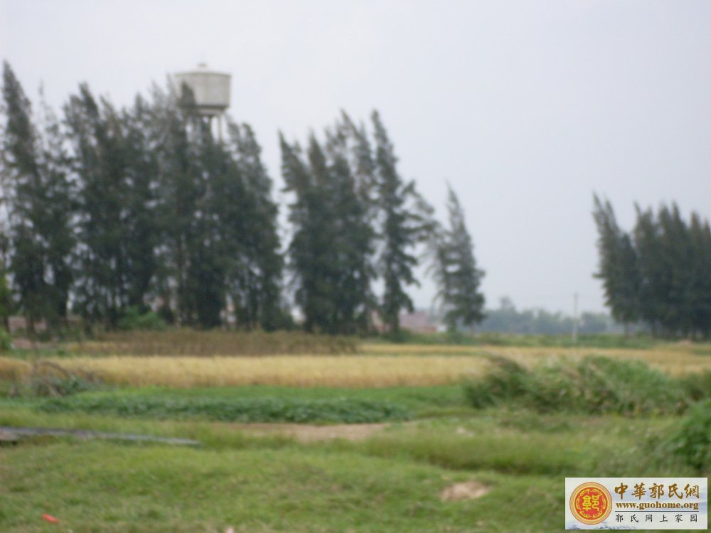 [原创]吴川滕蛟郭屋