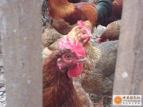 边玩边学习（PS图片篇）