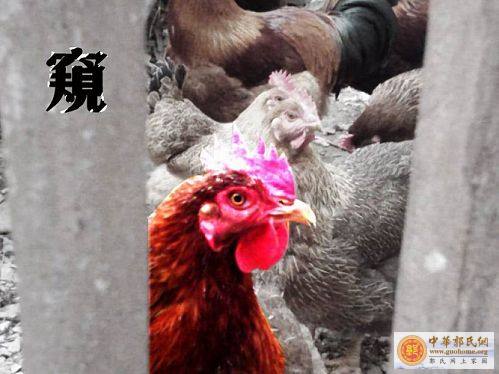 边玩边学习（PS图片篇）