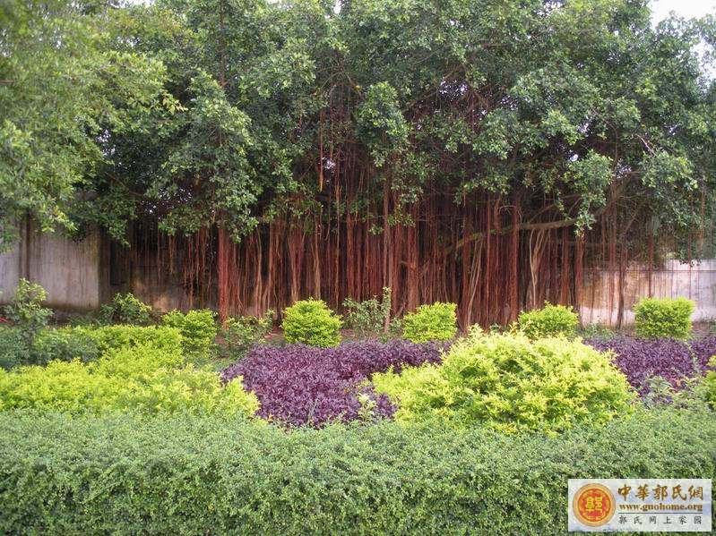 广东省吴川市郭屋中学图片