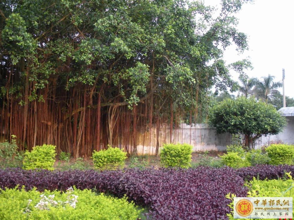 广东省吴川市郭屋中学图片