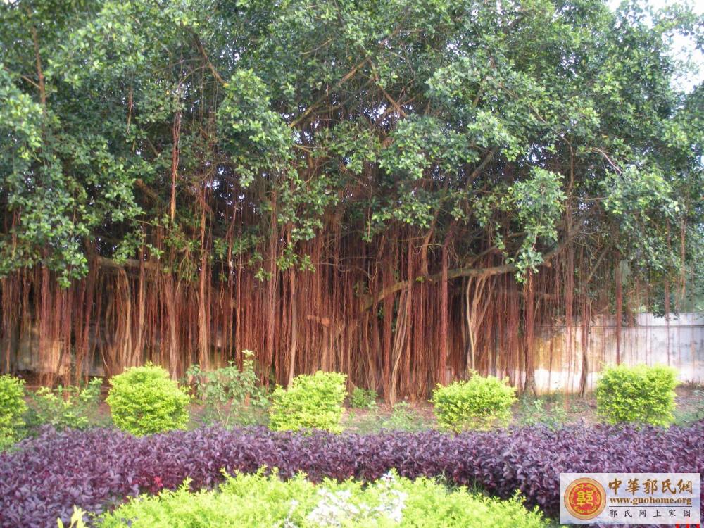 广东省吴川市郭屋中学图片