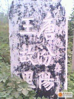 [原创]唐汾阳王故居