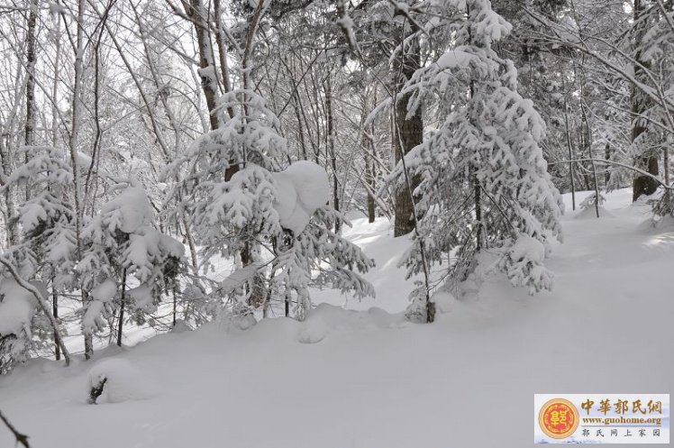 我家在东北 全国唯一与省会同名的----- 吉林市！