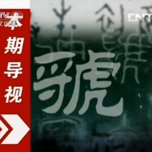 视频：CCTV《国宝档案》 传奇—虢国风云
